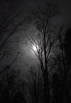 midnight moon